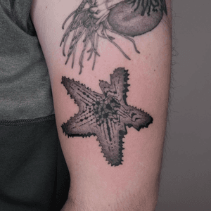 Dotwork tattoo style