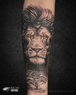 Lion and Acacia Tree Tattoo