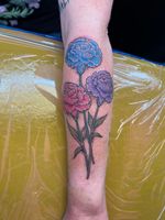 Three Colorful Carnations