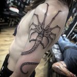 Facehugger - - - - - - #facehugger#facehuggertattoo#alien#predator#alienvspredator#alientattoo#gothic#gothictattoo#gothictattoos#gothicart#blackwork#blackworkers#darktattoo#darktattoos#darkart#dotwork#dotworkers#blacktattoo#blacktattoos