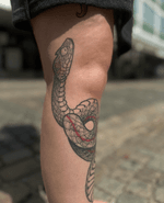 Coiled Snake