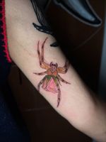 Spider and Rose Tattoo