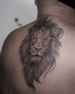 Lion Head Tattoo