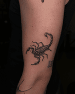 Scorpion Tattoo