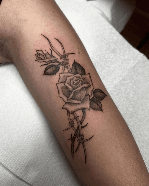 Rose with Barbed Wire