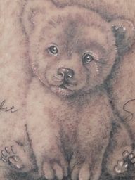 Baby Bear Portrait