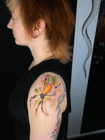 Spider Tattoo