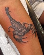 Scorpion Tattoo