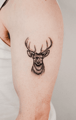 Detailed Deer Portrait