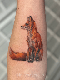 Sitting Fox
