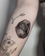 I present you Walt, Summer’s bunny 🐰 . Just looove doing this project, thank you @summerlillyy . Dm if you’d like to get your pet on skin 😏🤍 . Done at @londonsglitch #tattoo #inktattoo #inklife #inkart #inked #bunny #bunnytattoo #pet #tattoostyle #tatt #ink #fineline #tattooartist #tattoos #tattooart #tattoos #tattooist