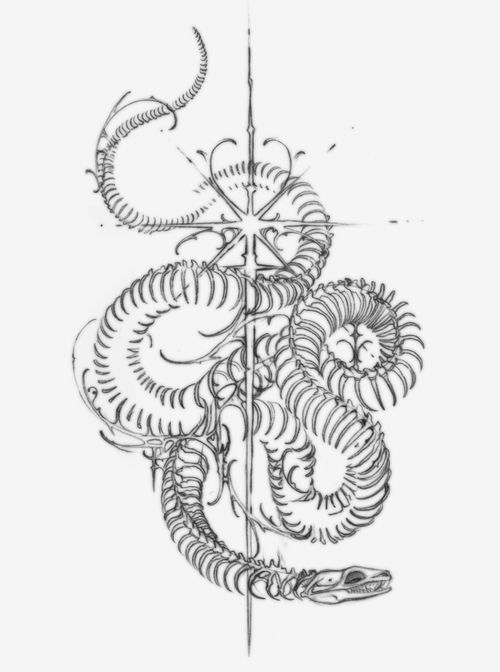 Snake 