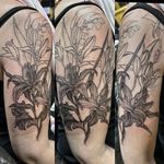 Another inspiring botanical tattoo sleeve project started at @stockholminkbash Big thanks to @monica_ekelin for your trust and the enjoyable chat and laughs throughout our session🖤 Looking forward to our next tattoo meeting🤘🏻 #stockholminkbash #stockholmtattoo #inspiration #botanicaltattoo #floraltattoo #lilytattoo #sleevetattoo #girlswithtattoos #lineworktattoo #blackwork #blacktattoo #art #darkartists #darkinkspiration #truenorwegianblackmetal #btattooing #darkartist #tattoolife #inked #blackmetal #tätowierung #surreal_tattoo_dark #artesobscurae #berlin #tattooberlin #berlintattooartist #italiantattooartist #kwadron #apocalypsetattoo #saraiusotattoo