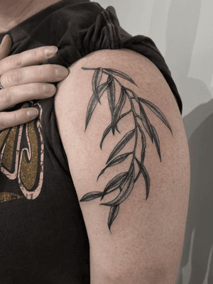 Illustrative black and gray tattoo of a detailed botanical branch by 'Scary' Tate Hazen.