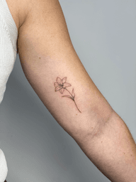 Lily Tattoo