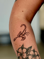 Black and Gray Scorpion