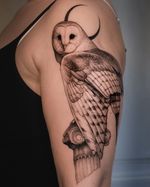 *** BOOKS OPEN - link in the bio *** Barn owl for Natalia 🫶🏻🦉🏛️ Done at @muka_studio with @pepax.official cartridges ✨ . . . . #owltattoo #barnowltattoo #birdtattoodesign #tatuażsowa #dotworkers #tatuaje #тату #graphictattoo #polishtattoo #neotraditional #lamadelray #tatuaż #tattoo #tattooartist #illustrationtattoo #krakowtattoo #polandtattoos #tattoos #fineline #pepaxcartridges #pepax