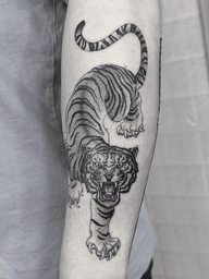 Majestic Tiger Illustration