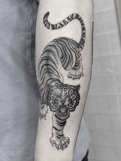 Detailed black-and-gray tiger tattoo by Oliver Whiting, showcasing the beauty and power of the animal in intricate dotwork style.