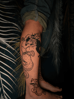 1 year Healed Sahmaran 