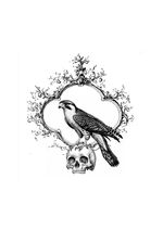 Falcon Perched on Skull