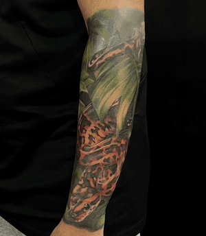 Realistic snake in vibrant colors winding through lush jungle foliage, by Cara Hayward.