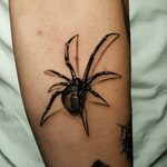 3D Black Spider