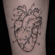 Anatomical Heart Tattoo