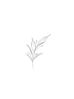 Simple Botanical Leaf Branch