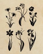 Black out floral silhouettes that would look good small or large scale. 