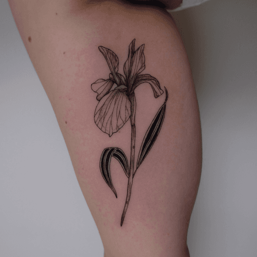 Iris Flower Tattoo