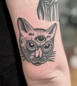 Three-Eyed Cat