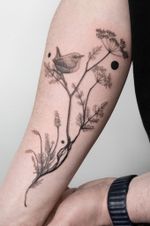 Songbird on Flowering Branch