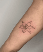 Single Line Lily Tattoo