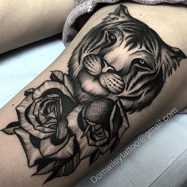 American Traditional Tiger, Dagger and Rose Tattoo Style - Full Color