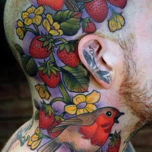 #strawberry #strawberryplant #bird #head #CrispyLennox