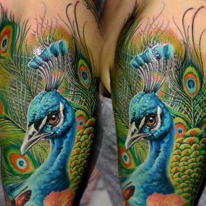 #csabamüllner #peacock #animal #bird #realistic