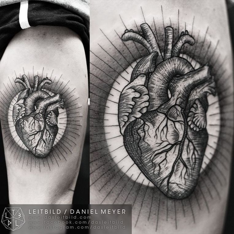 Human Heart Tattoo Outline