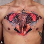 #surrealistic #elephant #eye #chest #geometric #DavePaulo