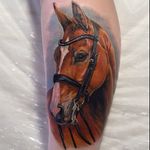 #portrait #horse #realistic #fullcolor #GienaRevess