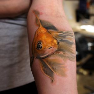 #realistic #goldfish #Grimmy