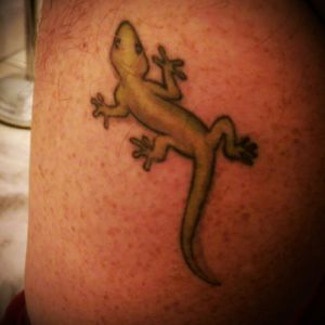 My first.  A gecko done by Rachel at Maui Tattoo Company in Kihei, HI