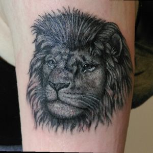 #blackandgreytattoo#Lion#Feminin#Tattoo