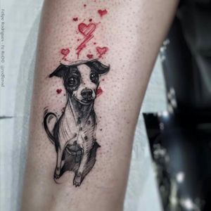 #dog #cachorro #fofa #FelipeRodrigues #custom #unique #brasil #brazil