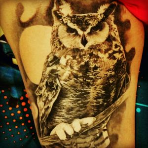 #owl <3!!