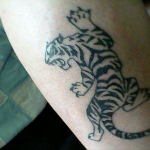 What my beautiful tiger is covering.