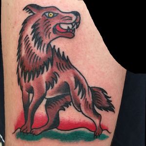 Traditional wolf 🐺 #traditionaltattoo #wolf #traditional