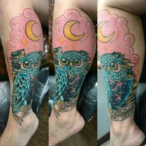 Cover up owl