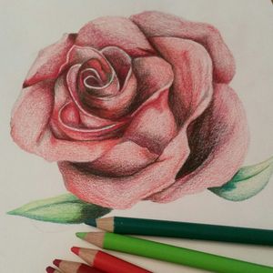 My first ever attempt at drawing a rose, I'm well impressed wih myself right now!! #rose #colour #art #drawing #sketch #asketchaday #realistic #flowers #practice #tattooistwannabe 😃
