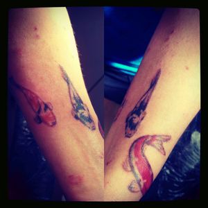 #koifish tattoo with #nooutline  I did little while back